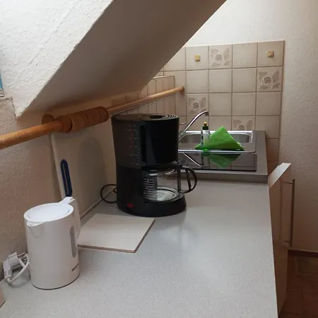 Seepferdchen 5